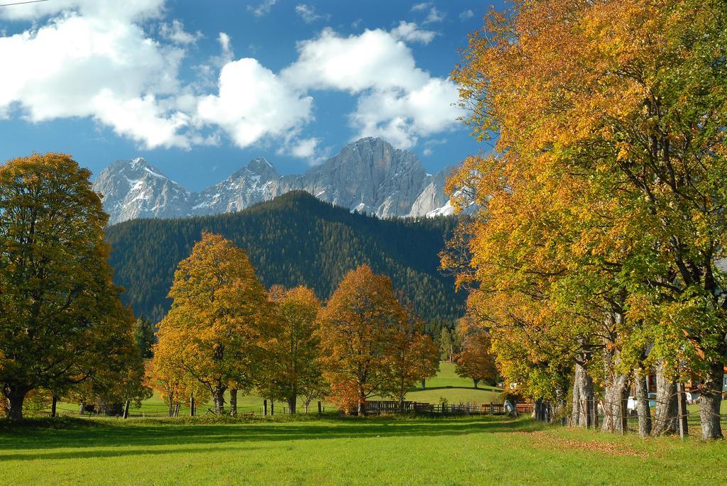 Apartment Oesterreich Рамзау ам Дахщайн Стая снимка