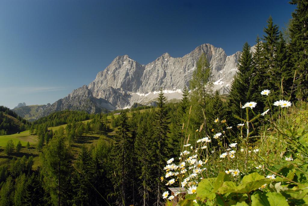 Apartment Oesterreich Рамзау ам Дахщайн Стая снимка
